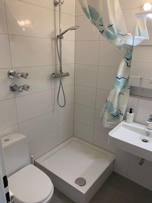 Schoene, Kleine, Gemuetliche Wohnung - Stadtmitte Moguncja Zewnętrze zdjęcie