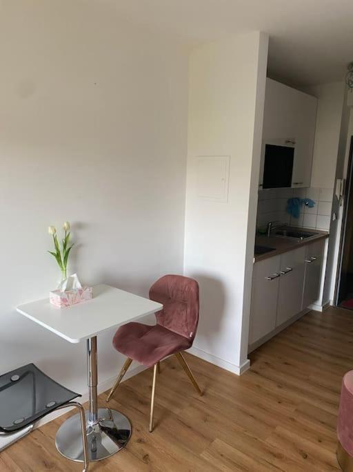 Schoene, Kleine, Gemuetliche Wohnung - Stadtmitte Moguncja Zewnętrze zdjęcie