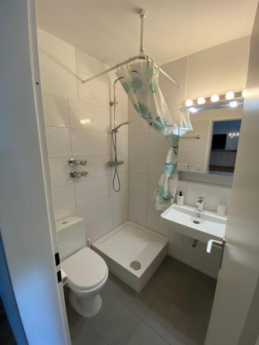 Schoene, Kleine, Gemuetliche Wohnung - Stadtmitte Moguncja Zewnętrze zdjęcie